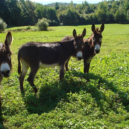 L'Oree Des Bois Bed & Breakfast Dommartin-Les-Cuiseaux Екстериор снимка